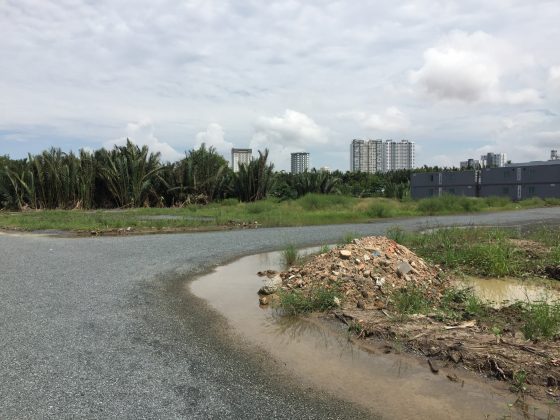 dừa dự án Biệt Thự Hưng Phát Green Star